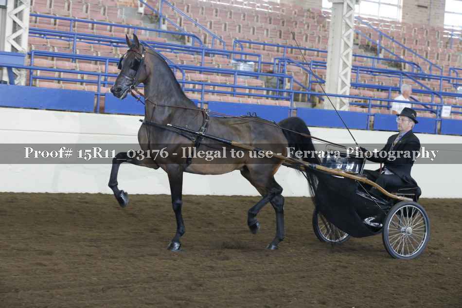 Proof 15R11_03176