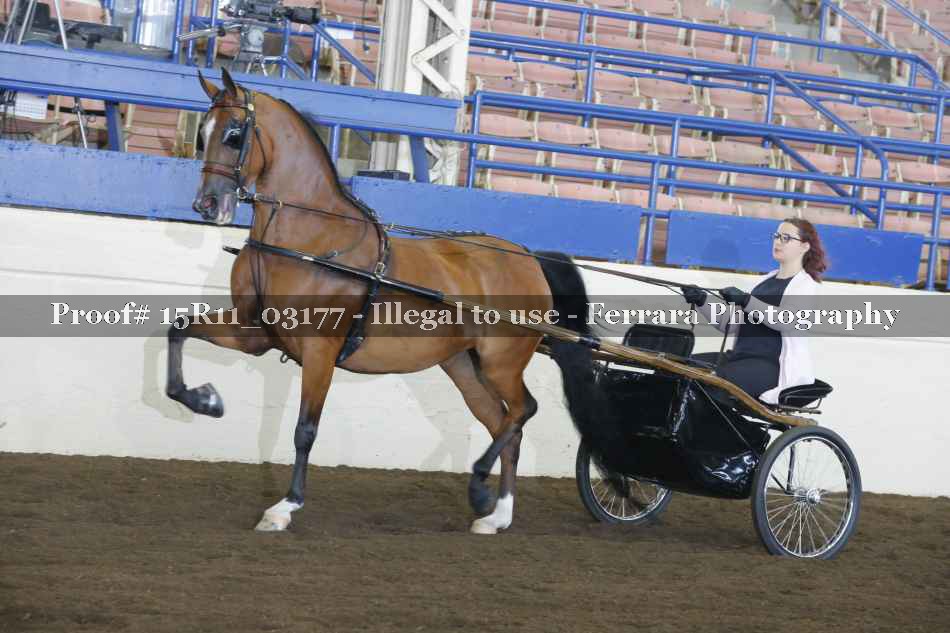Proof 15R11_03177