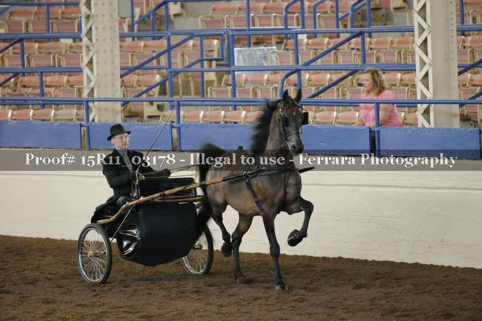 Proof 15R11_03178