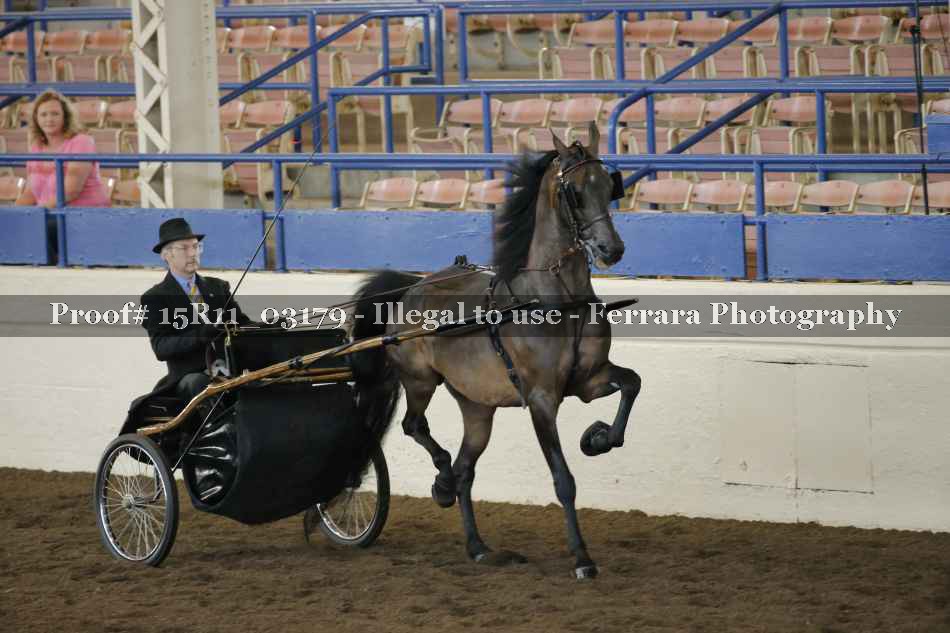 Proof 15R11_03179