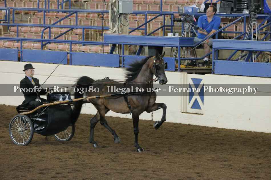 Proof 15R11_03180
