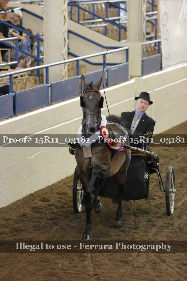 Proof 15R11_03181