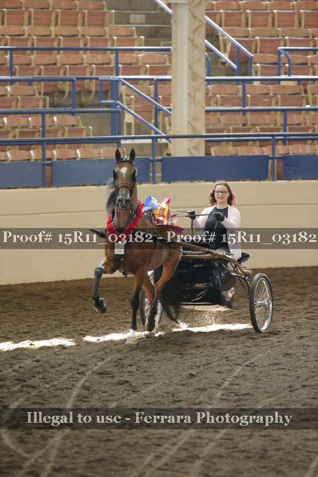 Proof 15R11_03182