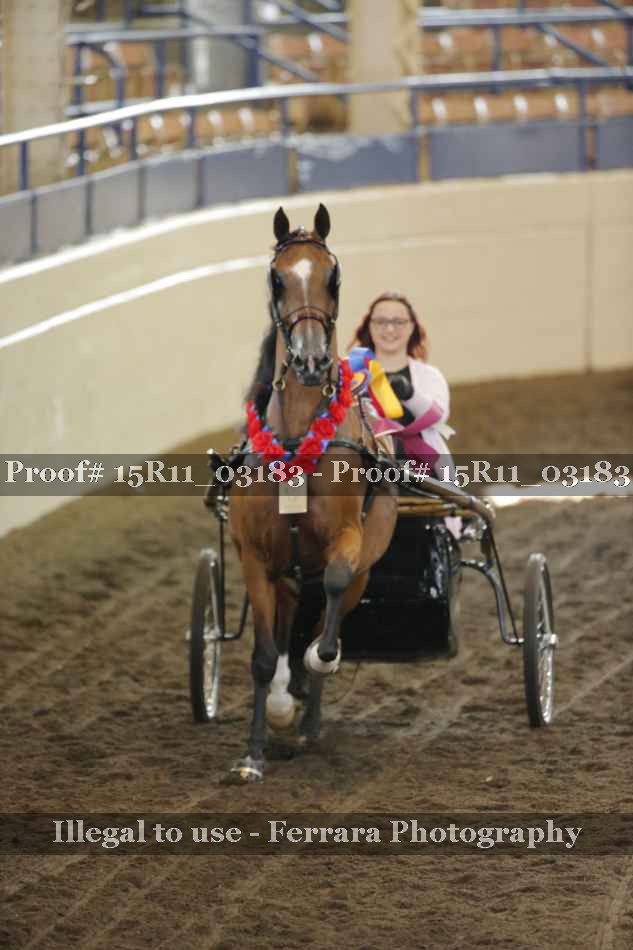 Proof 15R11_03183