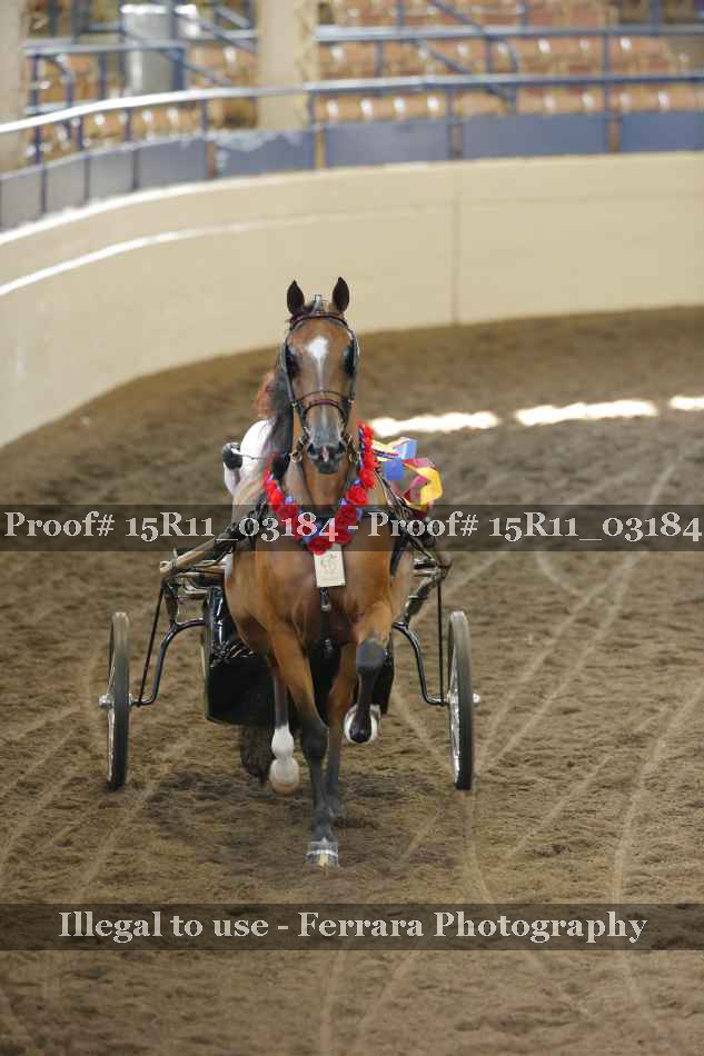 Proof 15R11_03184