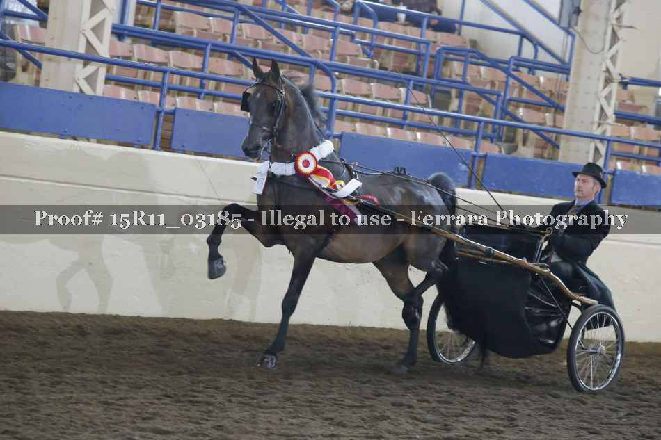 Proof 15R11_03185