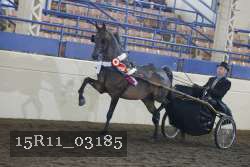 15R11_03185 proof