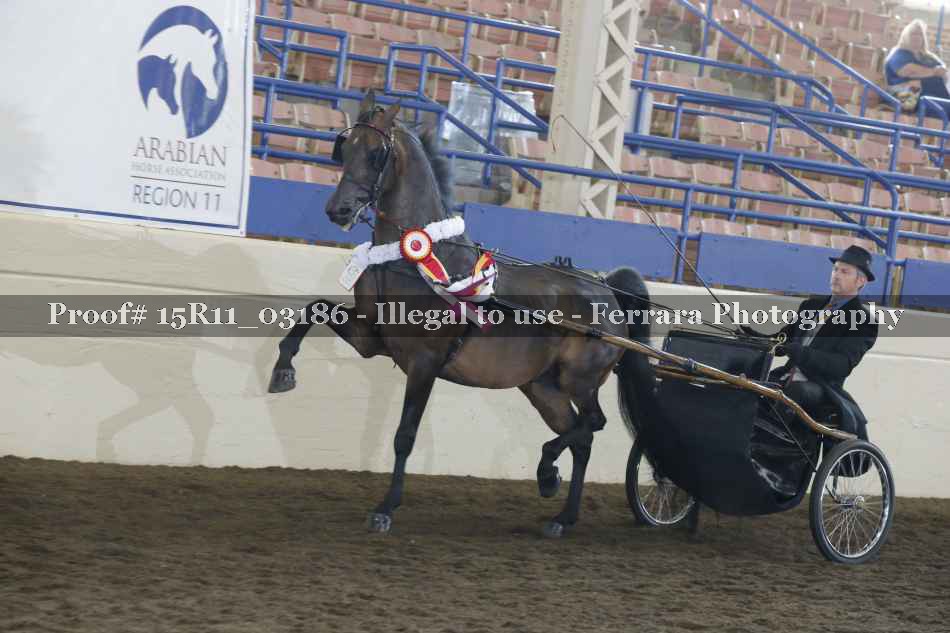 Proof 15R11_03186