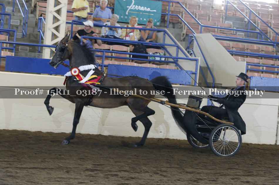 Proof 15R11_03187