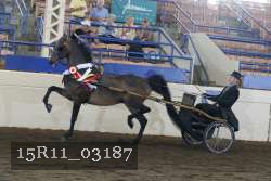15R11_03187 proof