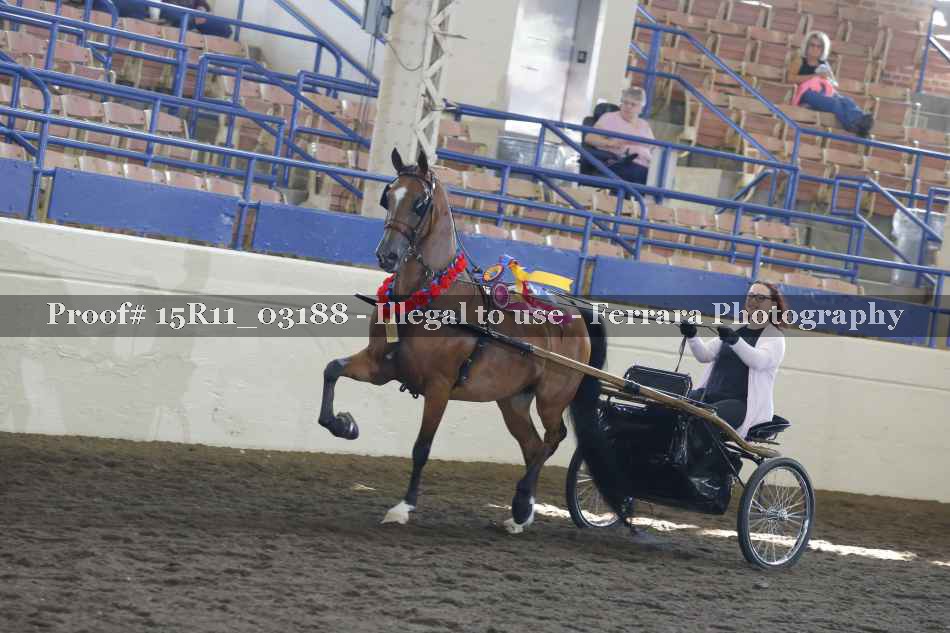 Proof 15R11_03188