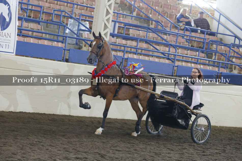 Proof 15R11_03189