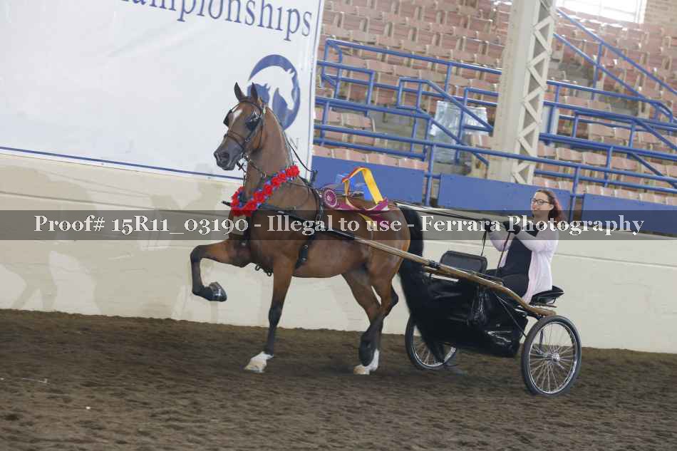 Proof 15R11_03190