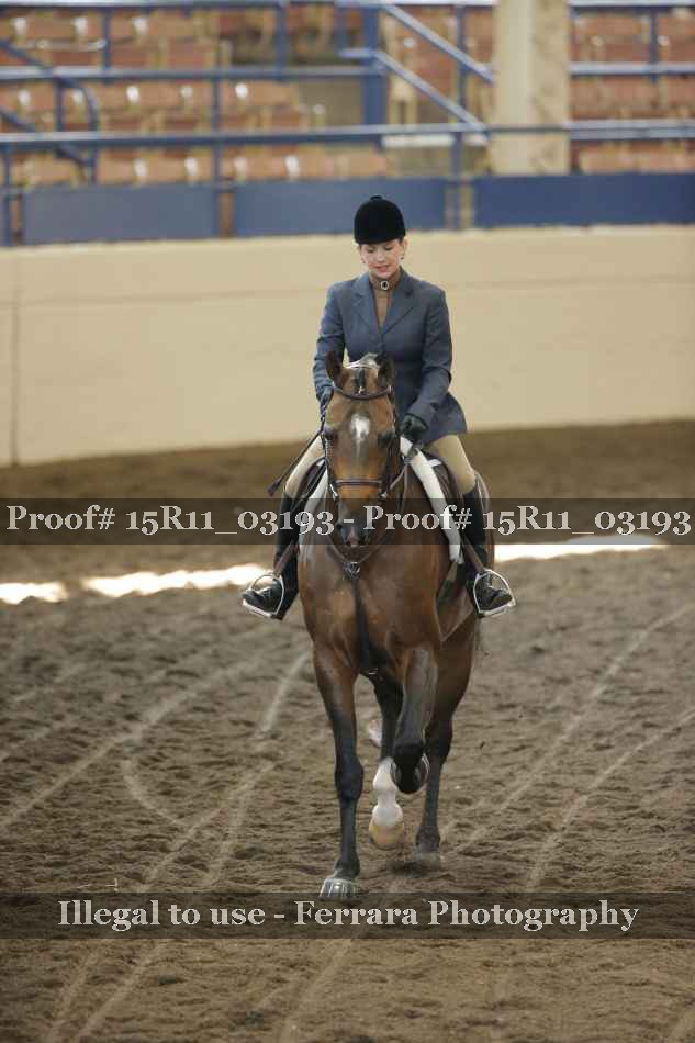 Proof 15R11_03193