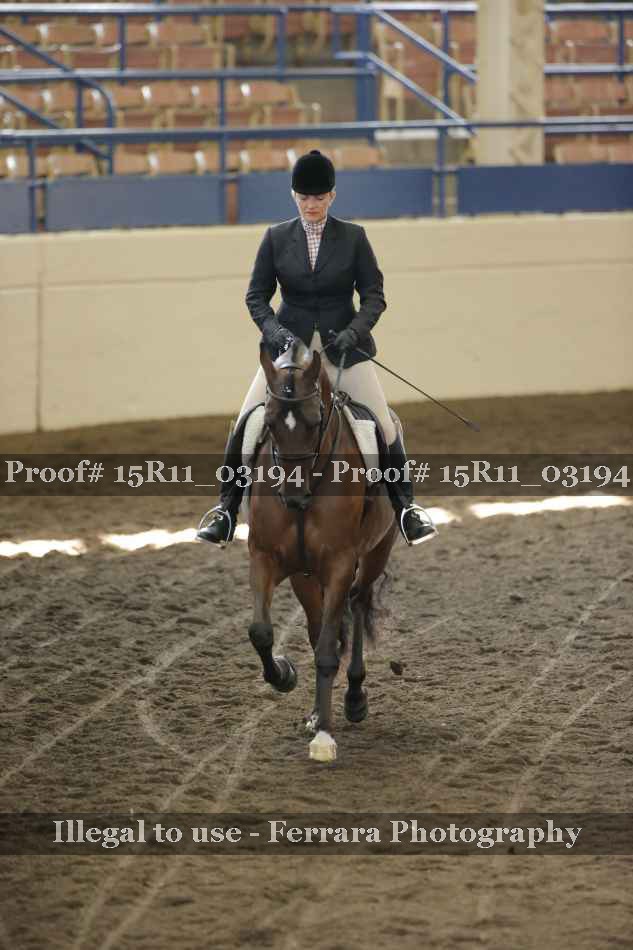 Proof 15R11_03194