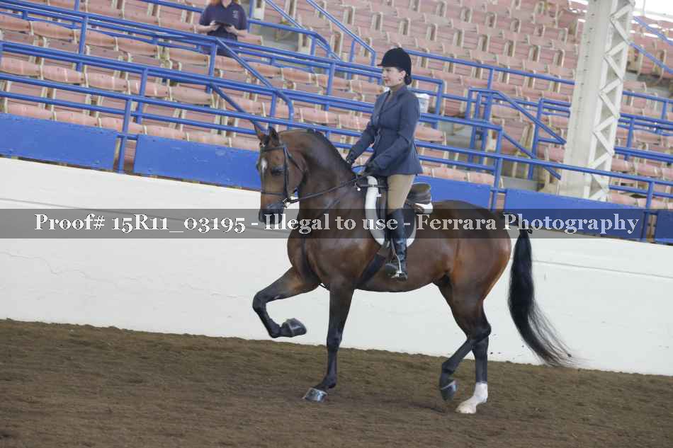 Proof 15R11_03195