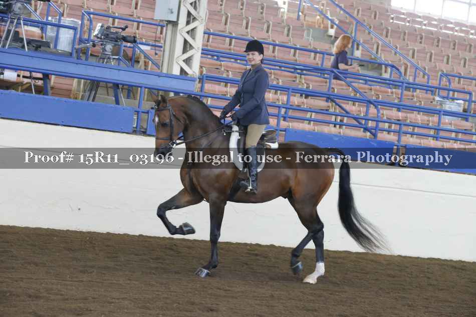 Proof 15R11_03196