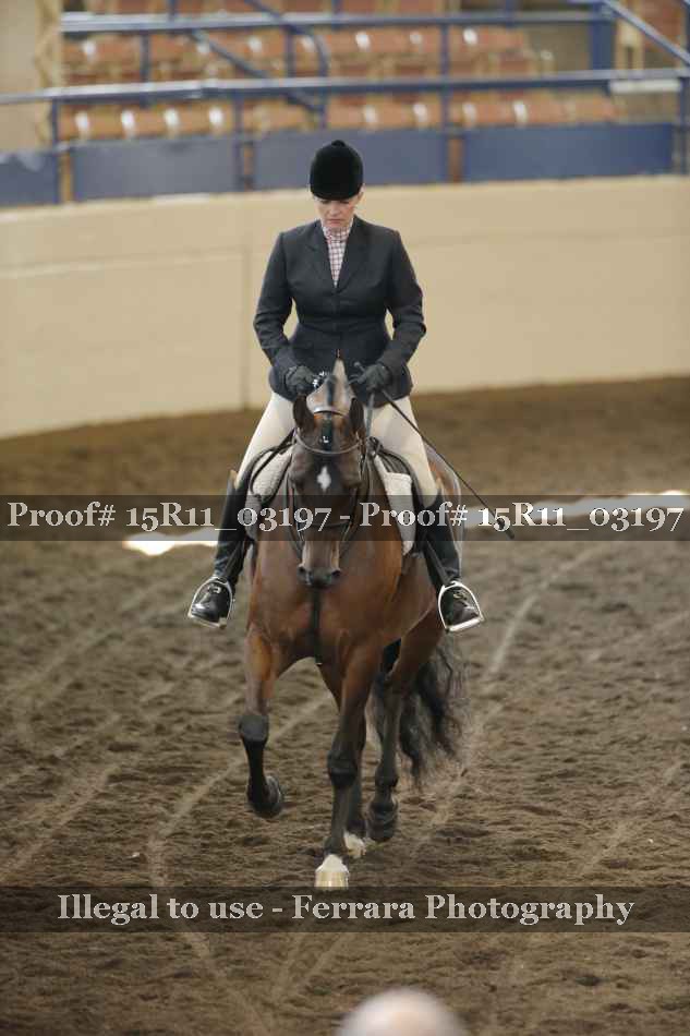 Proof 15R11_03197