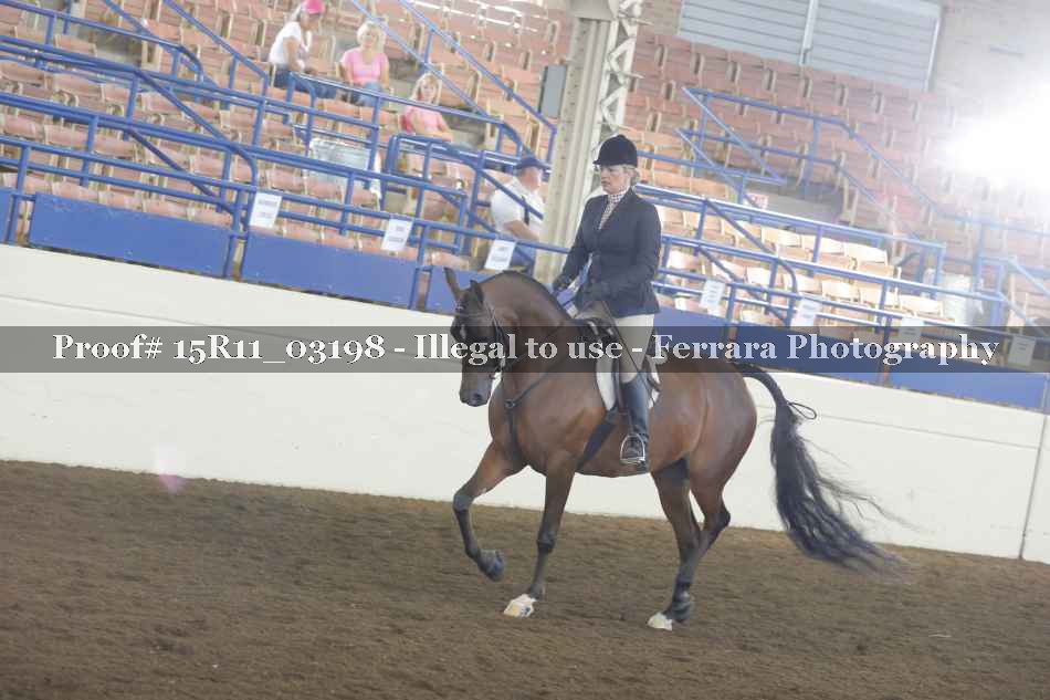 Proof 15R11_03198