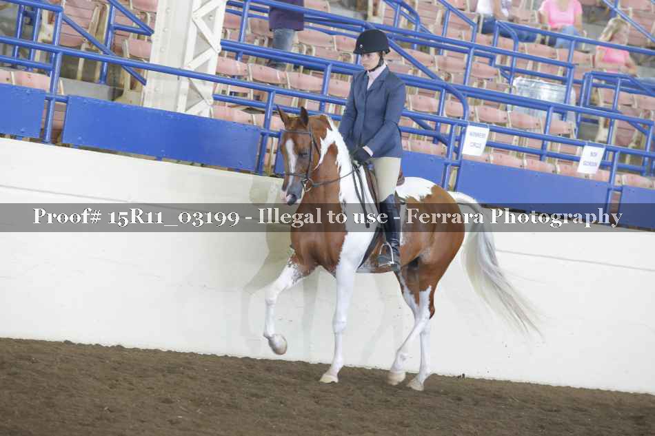 Proof 15R11_03199
