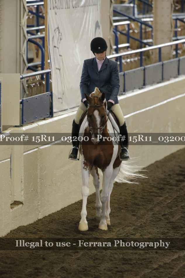 Proof 15R11_03200