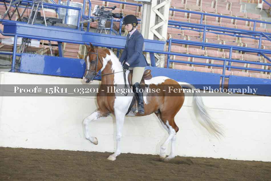 Proof 15R11_03201