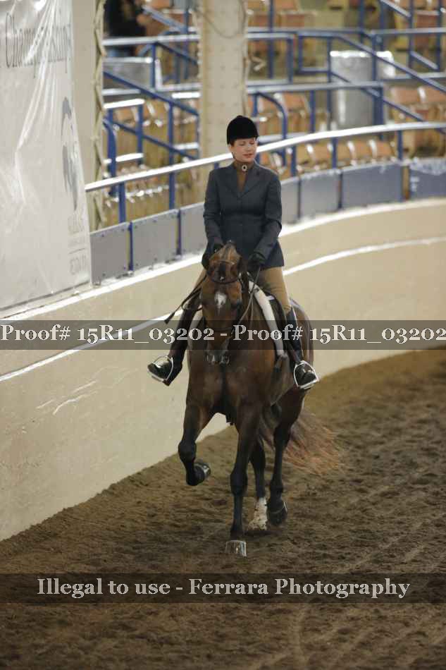 Proof 15R11_03202