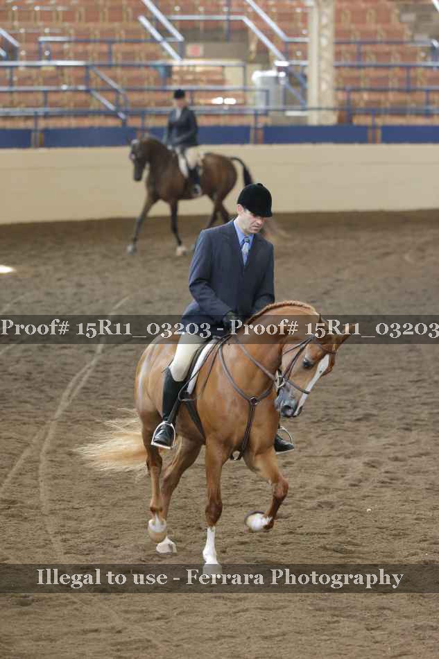 Proof 15R11_03203