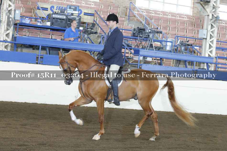 Proof 15R11_03204