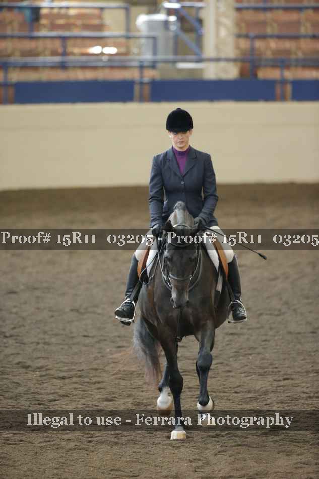 Proof 15R11_03205