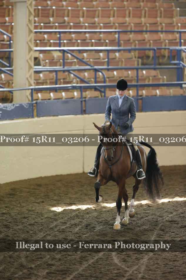 Proof 15R11_03206