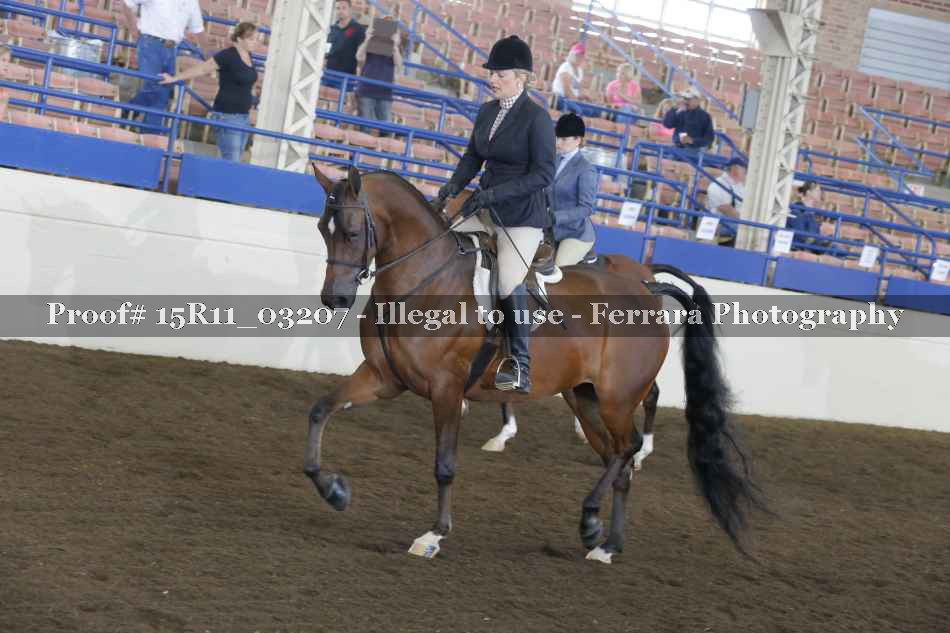 Proof 15R11_03207