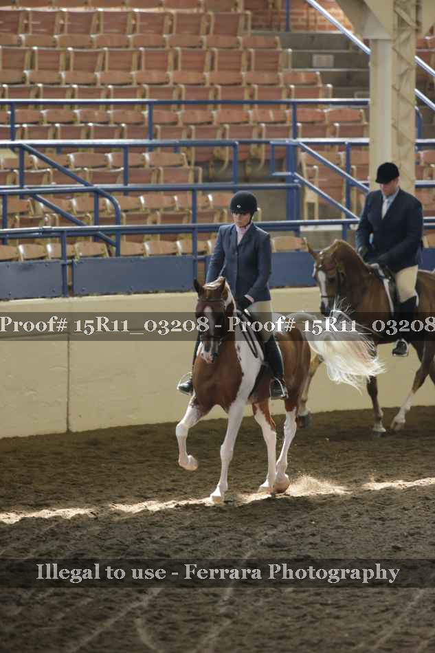Proof 15R11_03208