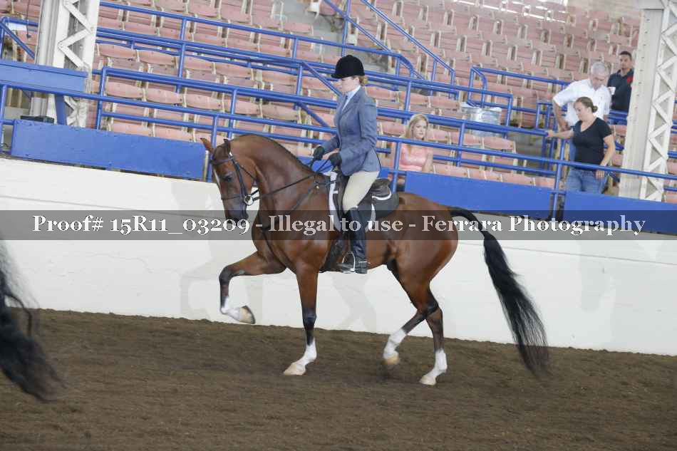 Proof 15R11_03209