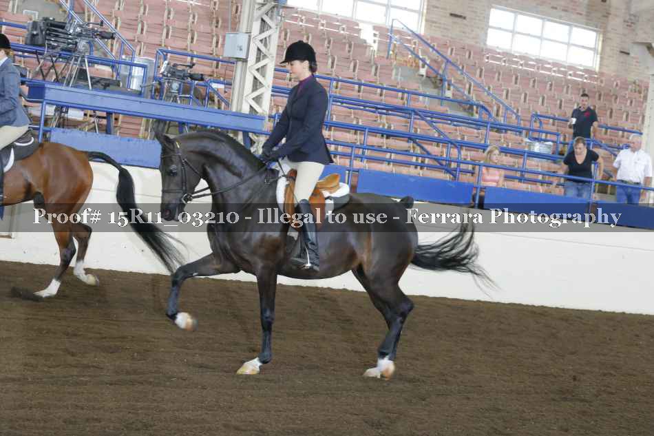 Proof 15R11_03210