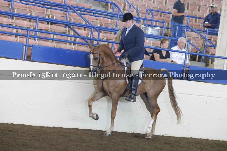 Proof 15R11_03211