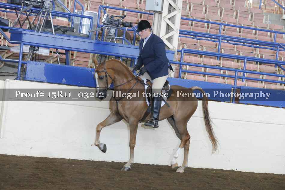 Proof 15R11_03212