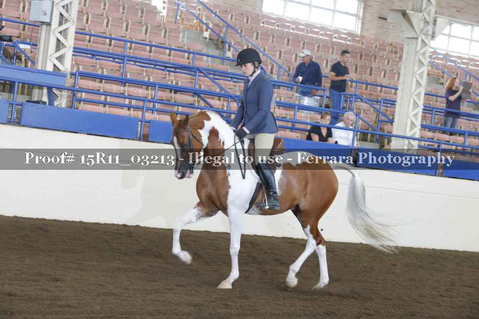 Proof 15R11_03213