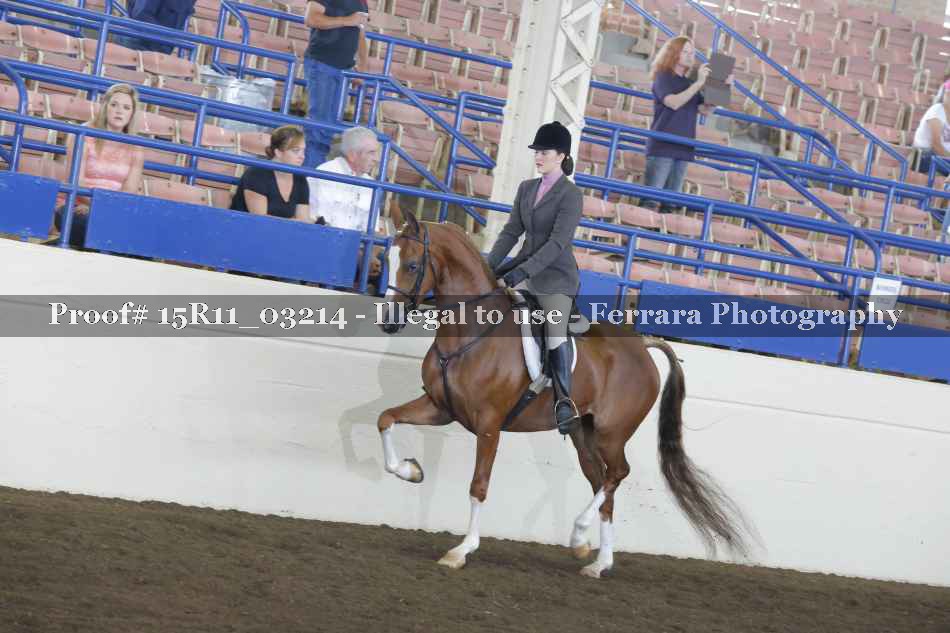 Proof 15R11_03214