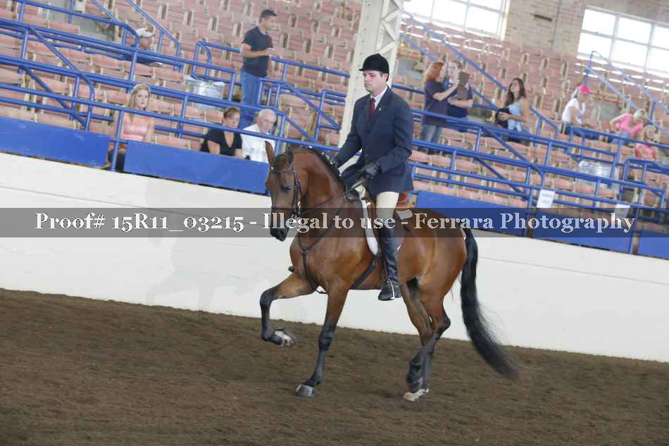 Proof 15R11_03215