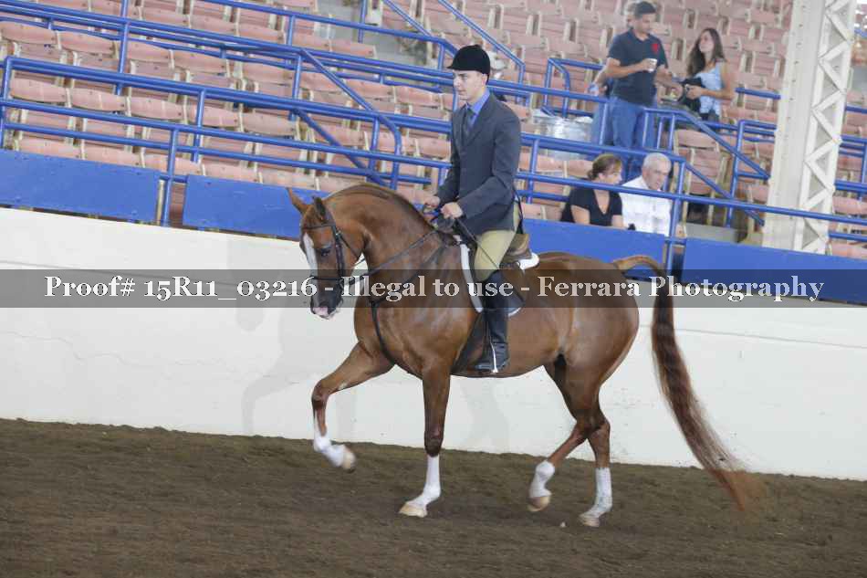 Proof 15R11_03216