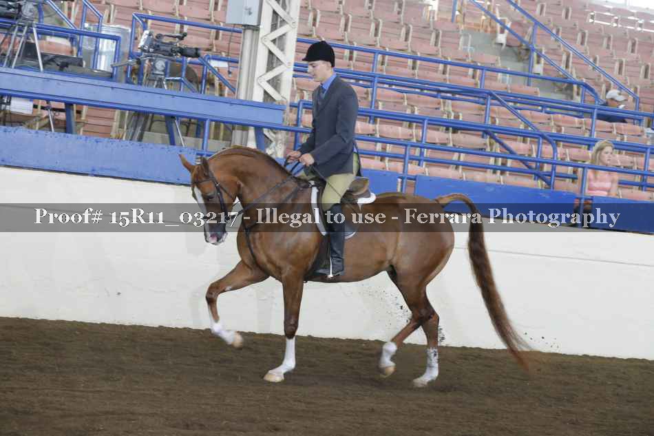 Proof 15R11_03217