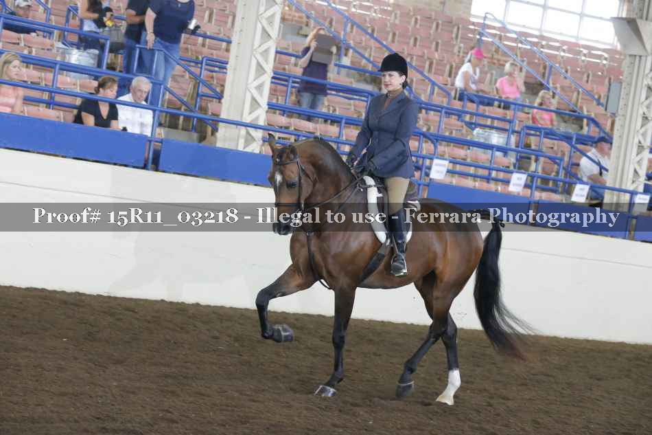 Proof 15R11_03218
