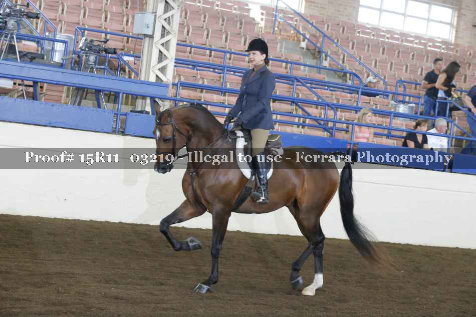 Proof 15R11_03219