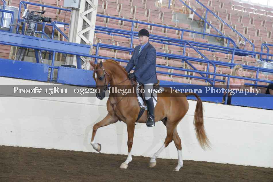 Proof 15R11_03220