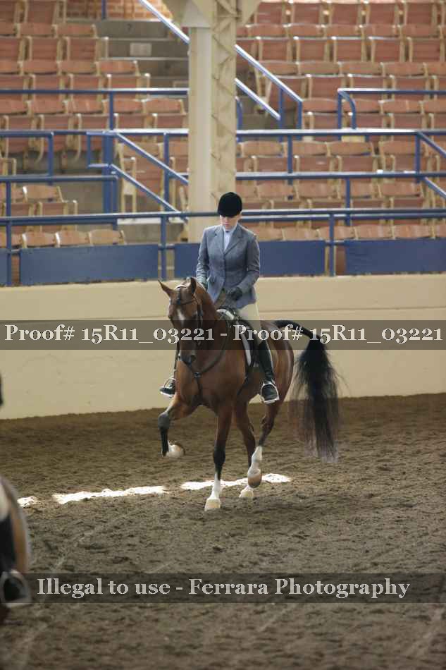 Proof 15R11_03221