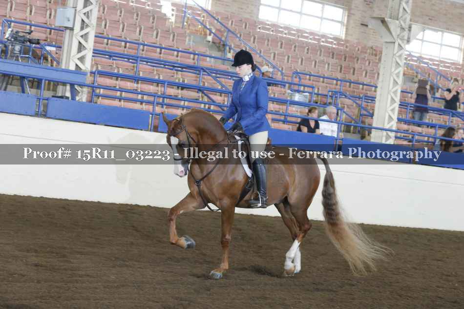 Proof 15R11_03223