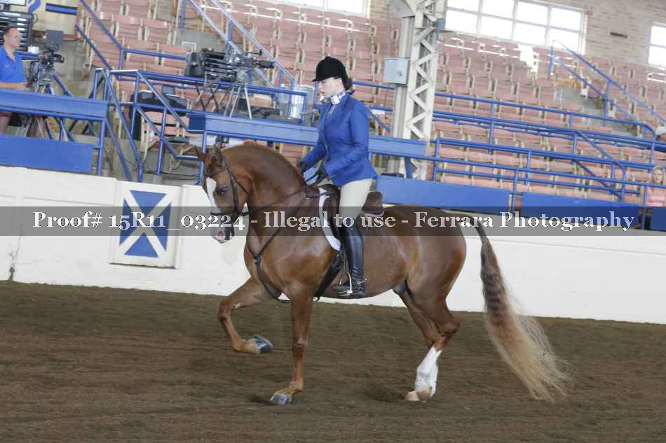 Proof 15R11_03224
