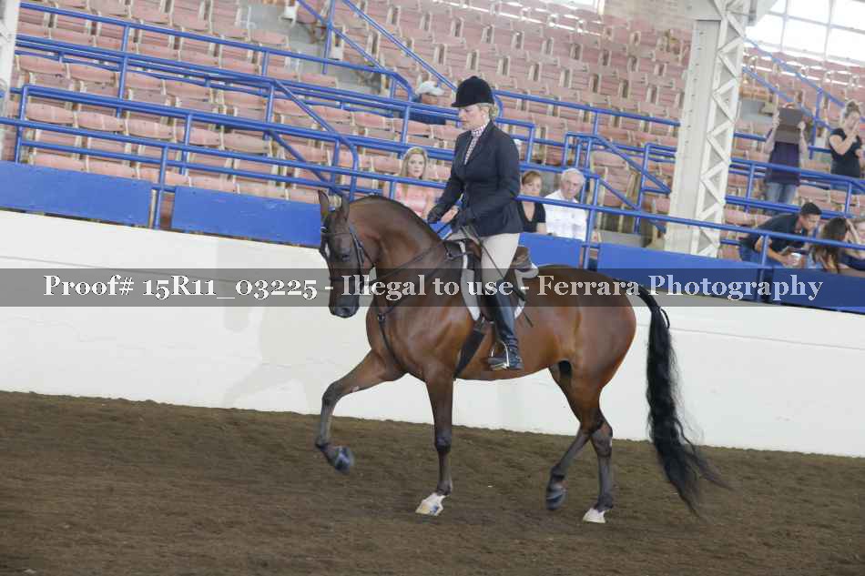 Proof 15R11_03225