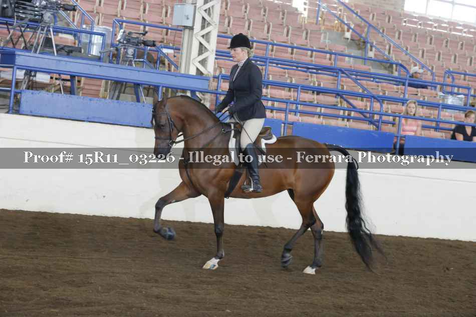 Proof 15R11_03226